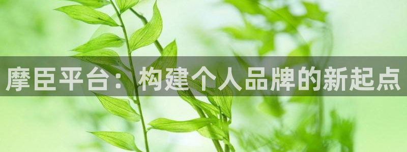 PG电子体育凯捷平台主管：摩臣平台：构建个人品牌的新起点