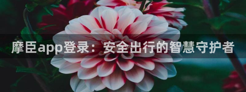 PG电子5注册：摩臣app登录：安全出行的智慧守护者