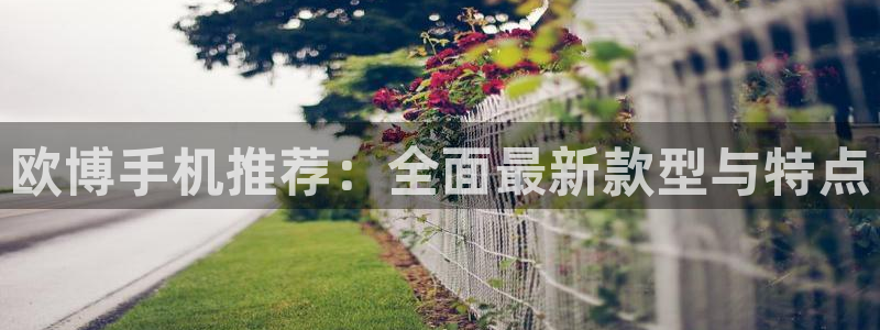 PG电子电子有限公司：欧博手机推荐：全面最新款型与特点