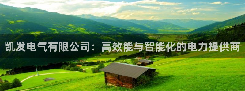 PG电子体育代理申请流程：凯发电气有限公司：高效能与智能化的电力提供商