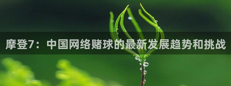 福建PG电子机电股份公司：摩登7：中国网络赌球的最新发展趋势和挑战