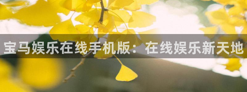 PG电子体育免费注册入口：宝马娱乐在线手机版：在线娱乐新天地