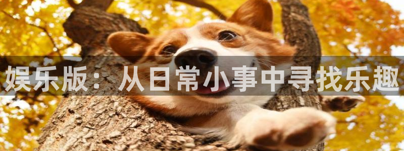 PG电子招商：娱乐版：从日常小事中寻找乐趣