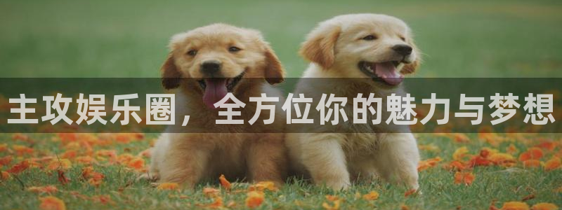 PG电子3注册：主攻娱乐圈，全方位你的魅力与梦想