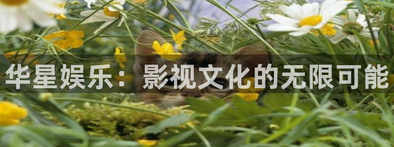 佛山市南海PG电子机电仪器有限公司：华星娱乐：影视文化的无限可能