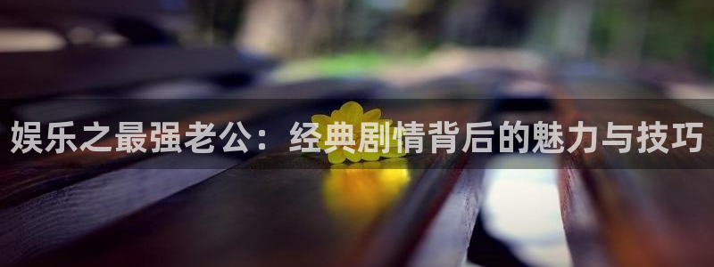 PG电子：娱乐之最强老公：经典剧情背后的魅力与技巧