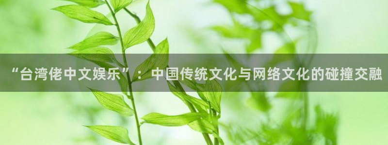 PG电子体育2：“台湾佬中文娱乐”：中国传统文化与网络文化的碰撞交融