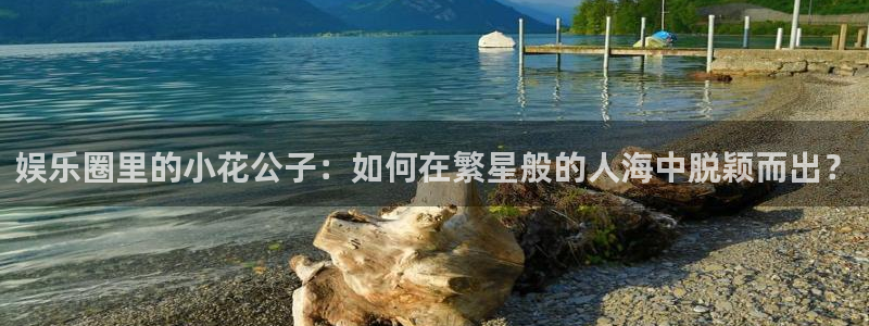 PG电子登录注册：娱乐圈里的小花公子：如何在繁星般的人海中脱颖而出？