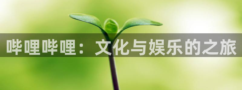 PG电子体育：哔哩哔哩：文化与娱乐的之旅