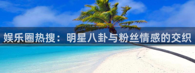 PG电子集团股票：娱乐圈热搜：明星八卦与粉丝情感的交织